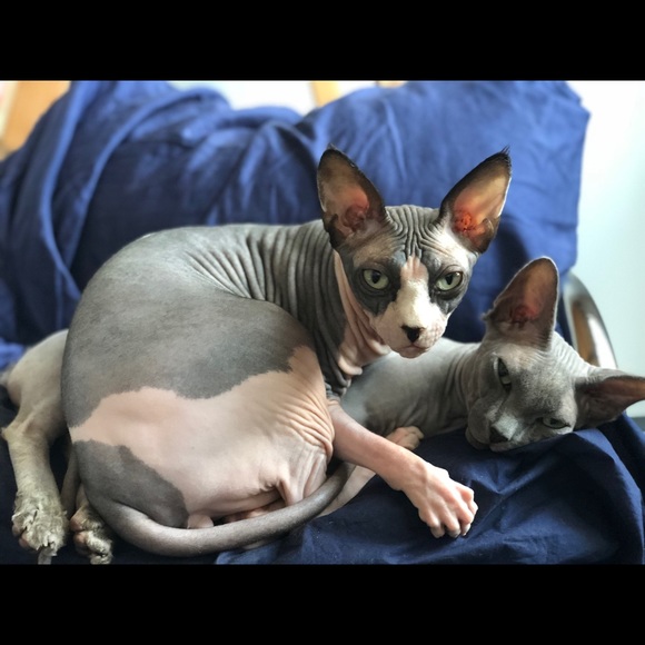 Meet your Posher, Katy - Picture 7 of 8